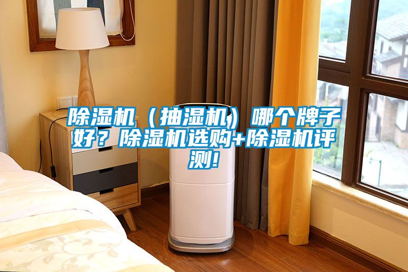 除濕機(jī)（抽濕機(jī)）哪個(gè)牌子好？除濕機(jī)選購+除濕機(jī)評(píng)測!