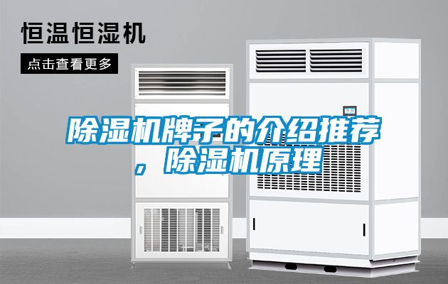 除濕機牌子的介紹推薦，除濕機原理