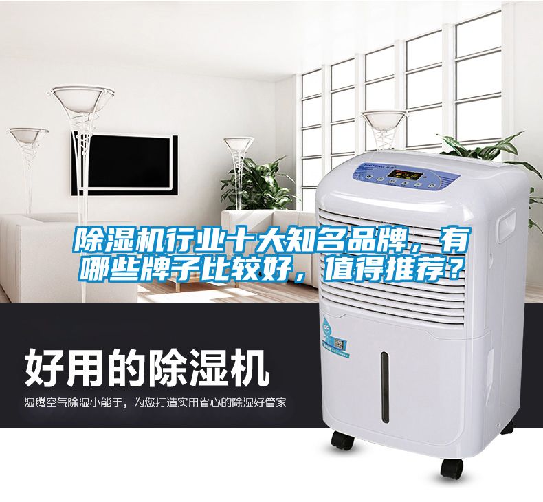除濕機(jī)行業(yè)十大知名品牌，有哪些牌子比較好，值得推薦？
