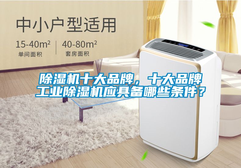 除濕機十大品牌，十大品牌工業(yè)除濕機應(yīng)具備哪些條件？