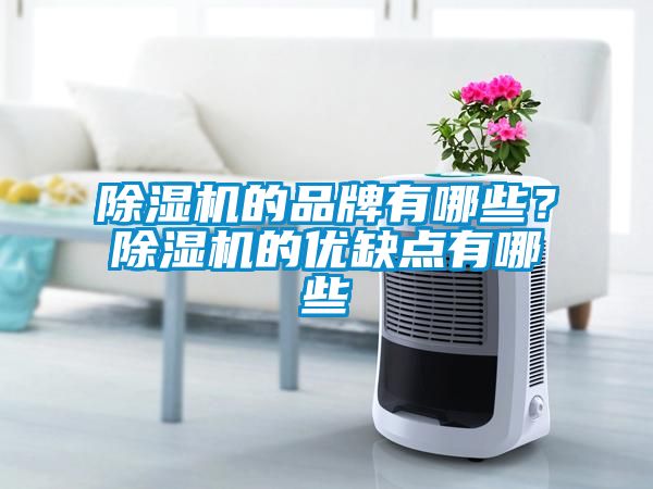 除濕機(jī)的品牌有哪些？除濕機(jī)的優(yōu)缺點(diǎn)有哪些