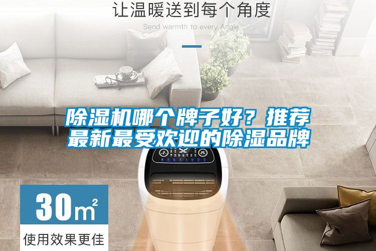 除濕機哪個牌子好？推薦最新最受歡迎的除濕品牌