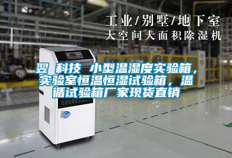 翌昇科技 小型溫濕度實驗箱，實驗室恒溫恒濕試驗箱，溫循試驗箱廠家現(xiàn)貨直銷