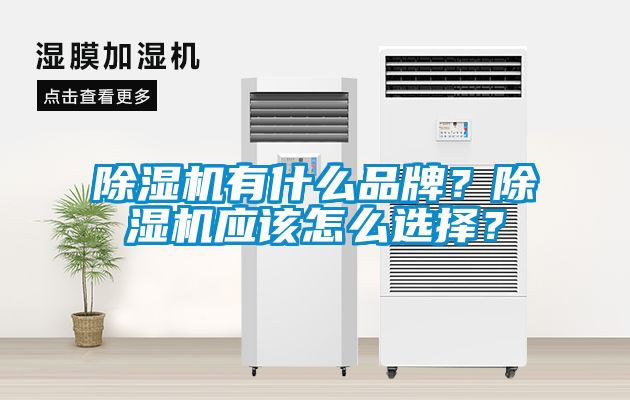 除濕機有什么品牌？除濕機應(yīng)該怎么選擇？