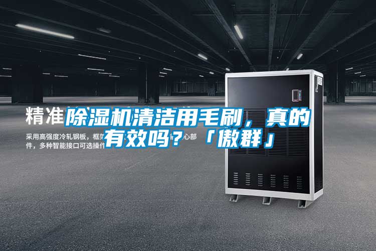 除濕機清潔用毛刷，真的有效嗎？「傲群」