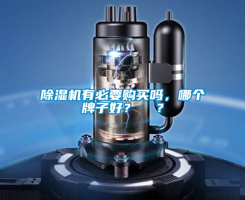 除濕機(jī)有必要購買嗎，哪個(gè)牌子好？  ？