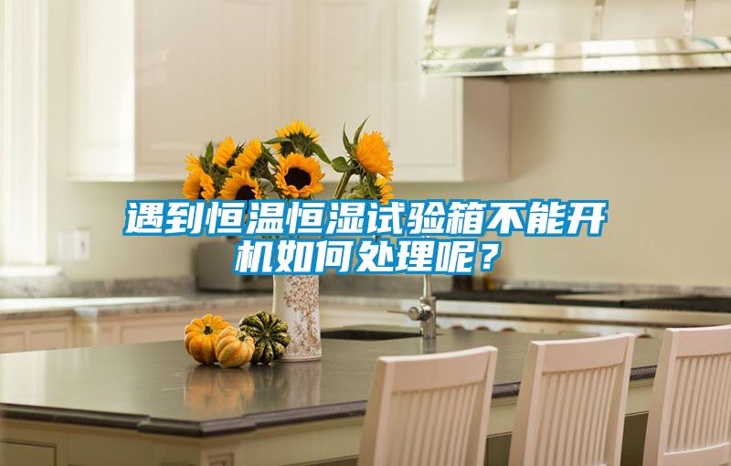 遇到恒溫恒濕試驗(yàn)箱不能開機(jī)如何處理呢？