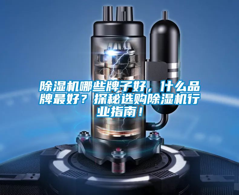 除濕機(jī)哪些牌子好，什么品牌最好？探秘選購(gòu)除濕機(jī)行業(yè)指南！
