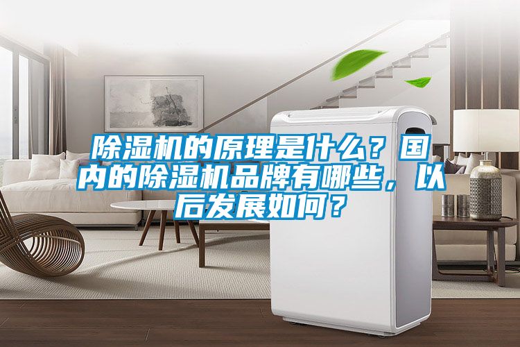 除濕機(jī)的原理是什么？國內(nèi)的除濕機(jī)品牌有哪些，以后發(fā)展如何？