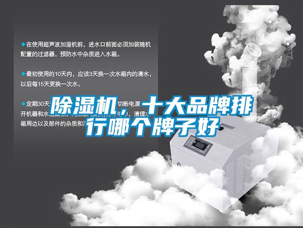 除濕機(jī)，十大品牌排行哪個(gè)牌子好
