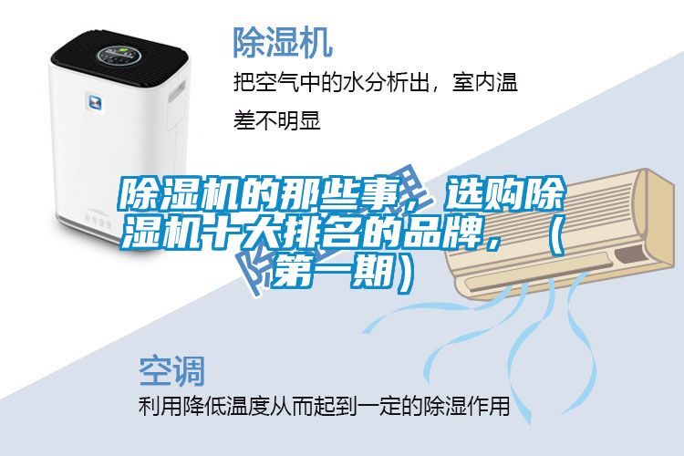 除濕機(jī)的那些事，選購(gòu)除濕機(jī)十大排名的品牌，（第一期）