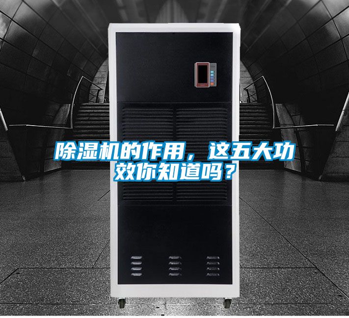 除濕機的作用，這五大功效你知道嗎？