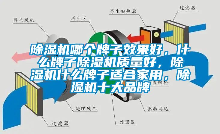 除濕機(jī)哪個(gè)牌子效果好，什么牌子除濕機(jī)質(zhì)量好，除濕機(jī)什么牌子適合家用，除濕機(jī)十大品牌