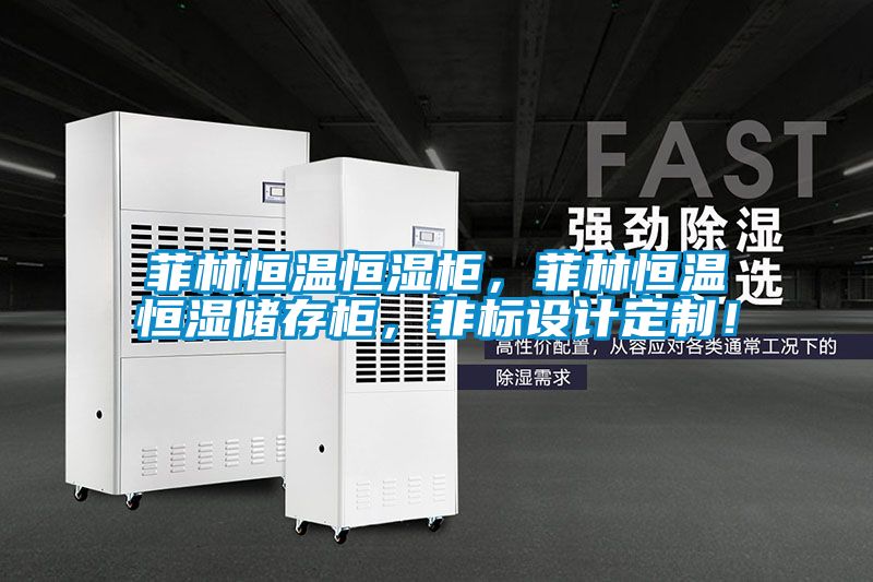 菲林恒溫恒濕柜，菲林恒溫恒濕儲存柜，非標設計定制！