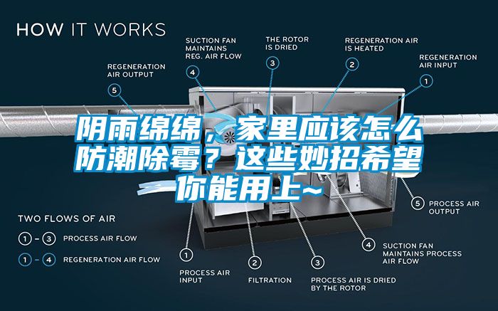陰雨綿綿，家里應(yīng)該怎么防潮除霉？這些妙招希望你能用上~