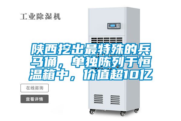 陜西挖出最特殊的兵馬俑，單獨(dú)陳列于恒溫箱中，價(jià)值超10億