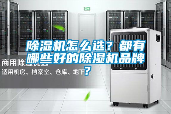 除濕機(jī)怎么選？都有哪些好的除濕機(jī)品牌？