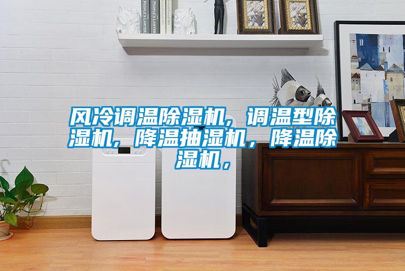風(fēng)冷調(diào)溫除濕機, 調(diào)溫型除濕機, 降溫抽濕機，降溫除濕機，