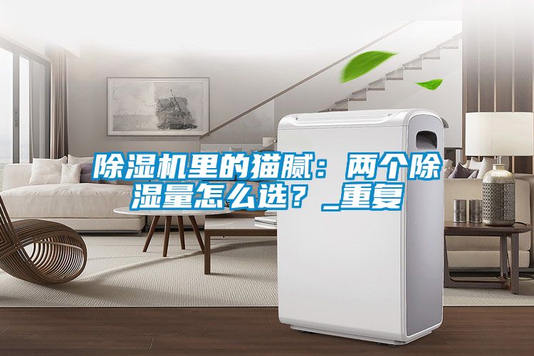 除濕機(jī)里的貓膩：兩個(gè)除濕量怎么選？_重復(fù)