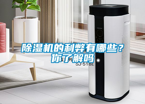 除濕機(jī)的利弊有哪些？你了解嗎