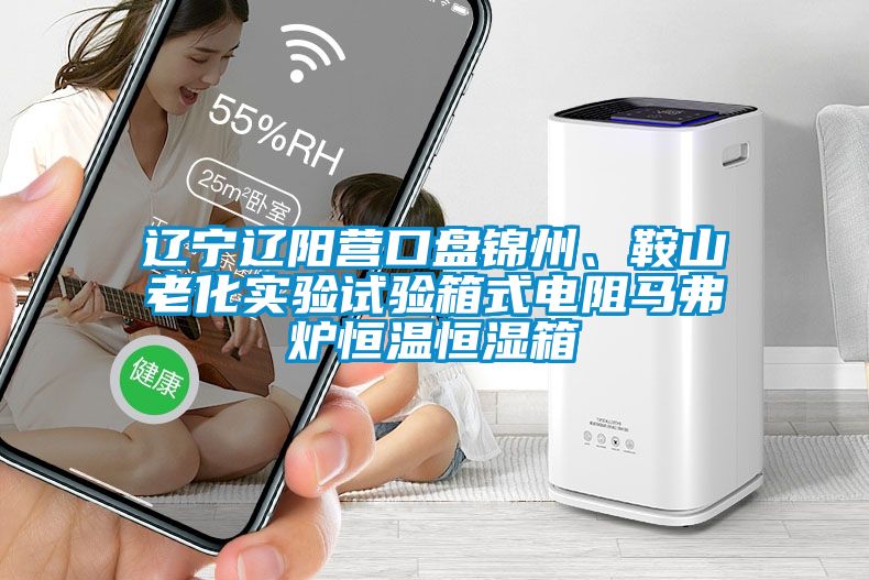 遼寧遼陽營口盤錦州、鞍山老化實驗試驗箱式電阻馬弗爐恒溫恒濕箱