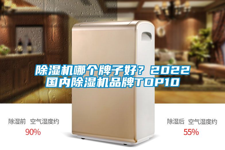 除濕機哪個牌子好？2022國內除濕機品牌TOP10