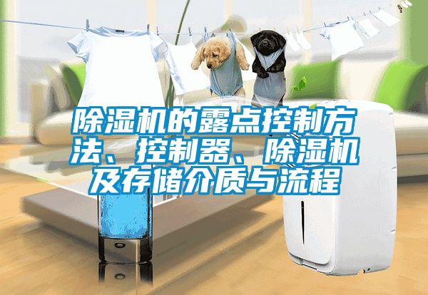 除濕機(jī)的露點(diǎn)控制方法、控制器、除濕機(jī)及存儲(chǔ)介質(zhì)與流程