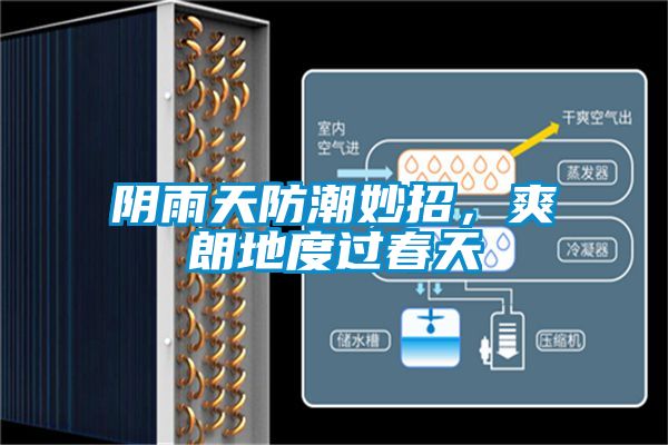 陰雨天防潮妙招，爽朗地度過春天