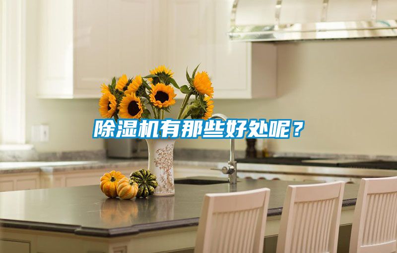 除濕機有那些好處呢？
