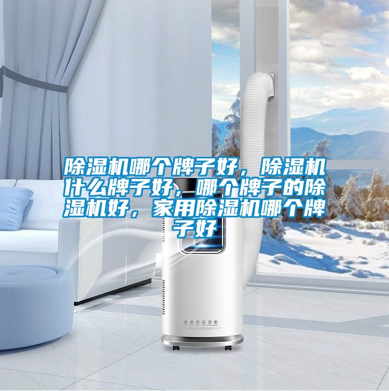 除濕機哪個牌子好，除濕機什么牌子好，哪個牌子的除濕機好，家用除濕機哪個牌子好