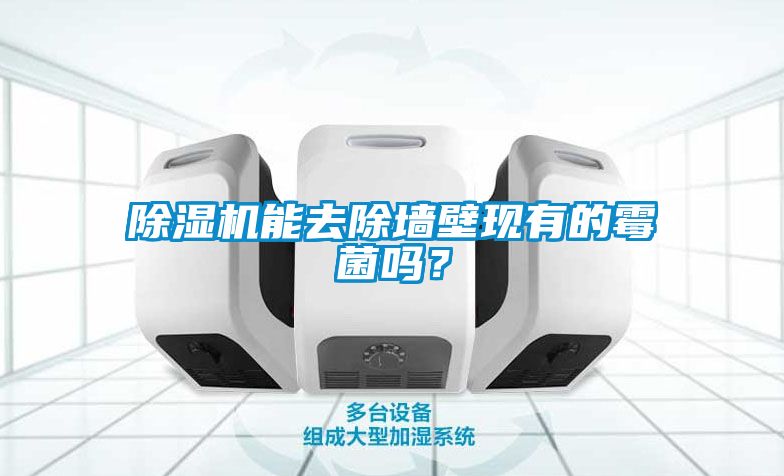 除濕機(jī)能去除墻壁現(xiàn)有的霉菌嗎？