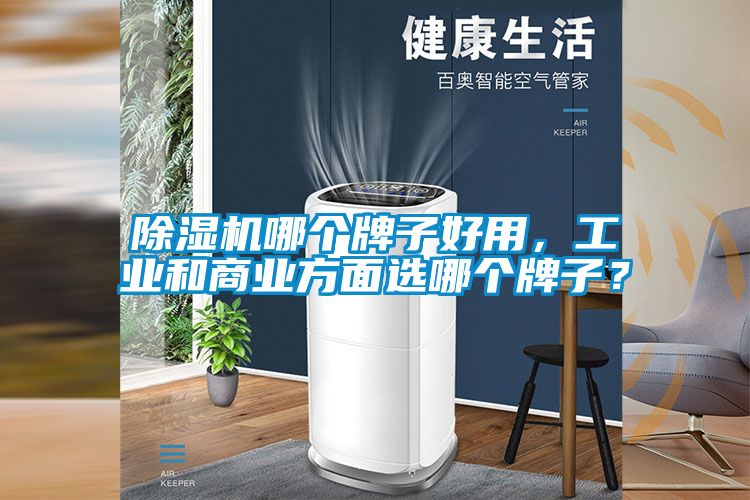 除濕機哪個牌子好用，工業(yè)和商業(yè)方面選哪個牌子？