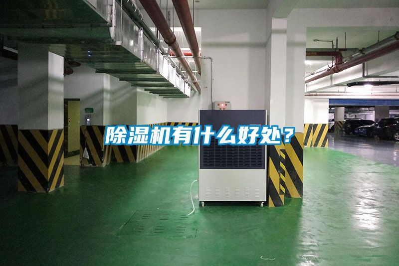 除濕機(jī)有什么好處？