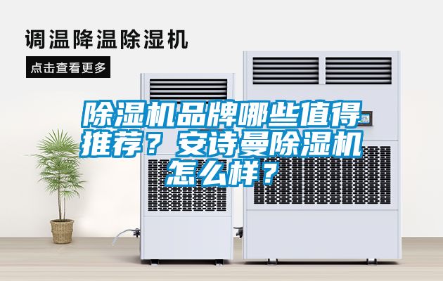 除濕機品牌哪些值得推薦？安詩曼除濕機怎么樣？