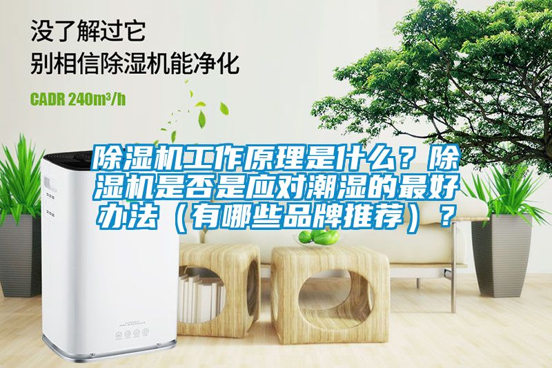除濕機(jī)工作原理是什么？除濕機(jī)是否是應(yīng)對潮濕的最好辦法（有哪些品牌推薦）？