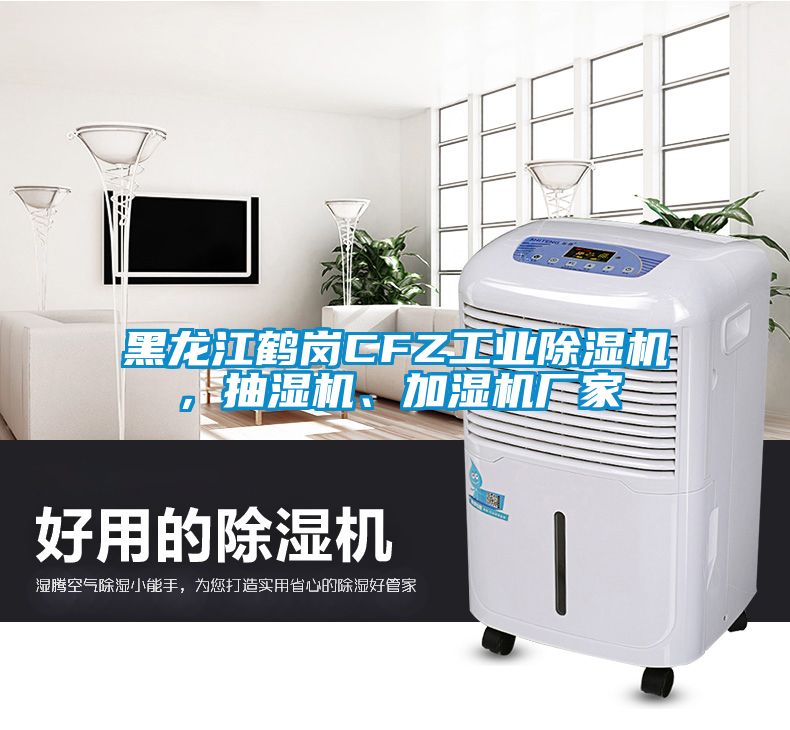 黑龍江鶴崗CFZ工業(yè)除濕機(jī)，抽濕機(jī)、加濕機(jī)廠家