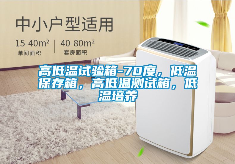 高低溫試驗箱-70度，低溫保存箱，高低溫測試箱，低溫培養(yǎng)