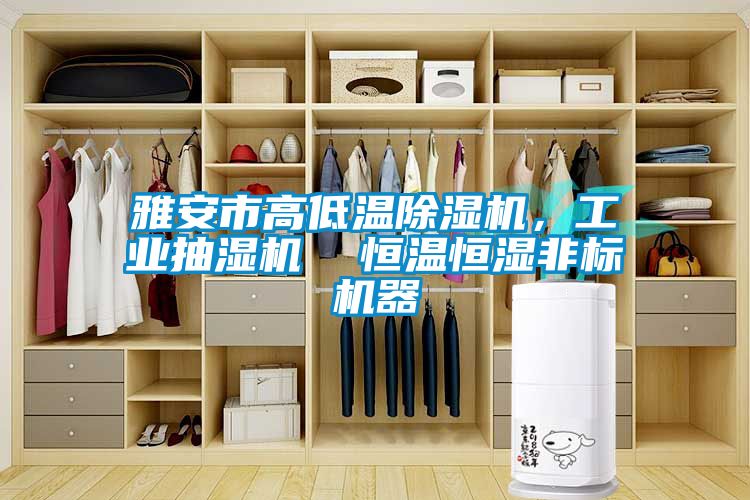雅安市高低溫除濕機，工業(yè)抽濕機  恒溫恒濕非標機器