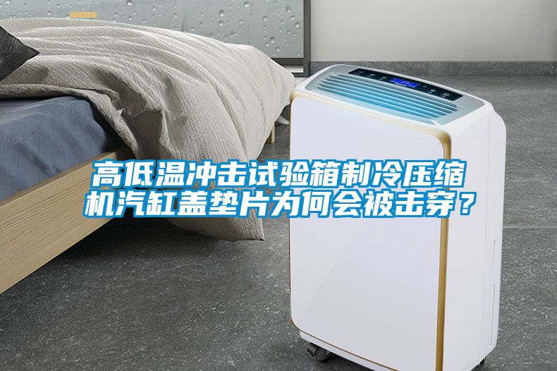 高低溫沖擊試驗箱制冷壓縮機(jī)汽缸蓋墊片為何會被擊穿？