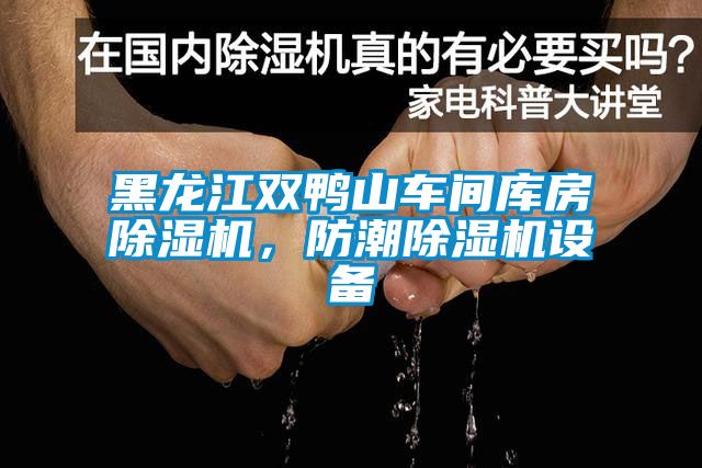 黑龍江雙鴨山車間庫(kù)房除濕機(jī)，防潮除濕機(jī)設(shè)備