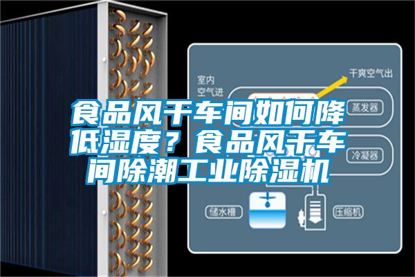 食品風干車間如何降低濕度？食品風干車間除潮工業(yè)除濕機