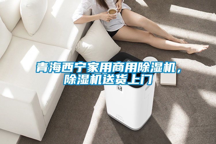 青海西寧家用商用除濕機(jī)，除濕機(jī)送貨上門