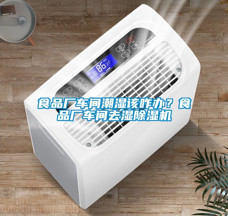 食品廠車間潮濕該咋辦？食品廠車間去濕除濕機(jī)