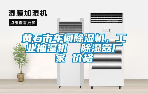 黃石市車間除濕機(jī)，工業(yè)抽濕機(jī)  除濕器廠家 價(jià)格
