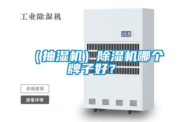（抽濕機）除濕機哪個牌子好？