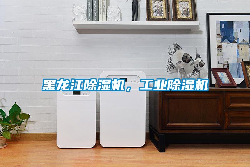 黑龍江除濕機，工業(yè)除濕機