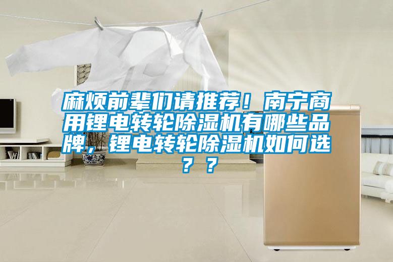 麻煩前輩們請推薦！南寧商用鋰電轉(zhuǎn)輪除濕機(jī)有哪些品牌，鋰電轉(zhuǎn)輪除濕機(jī)如何選？？