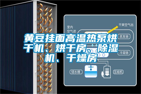黃豆掛面高溫?zé)岜煤娓蓹C、烘干房、除濕機、干燥房