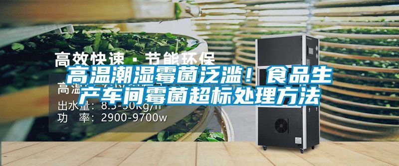 高溫潮濕霉菌泛濫！食品生產(chǎn)車間霉菌超標處理方法