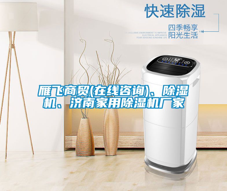 雁飛商貿(mào)(在線咨詢)、除濕機、濟南家用除濕機廠家